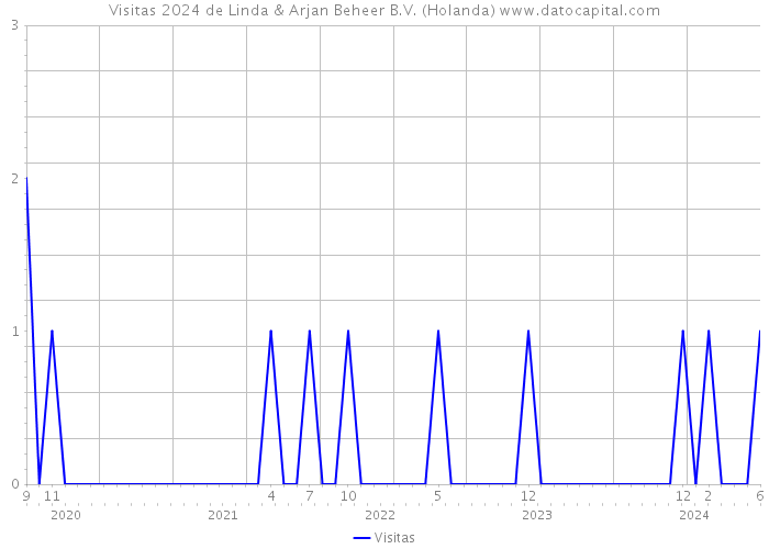 Visitas 2024 de Linda & Arjan Beheer B.V. (Holanda) 