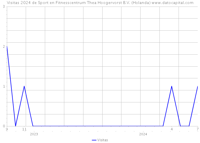 Visitas 2024 de Sport en Fitnesscentrum Thea Hoogervorst B.V. (Holanda) 