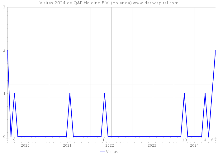 Visitas 2024 de Q&P Holding B.V. (Holanda) 