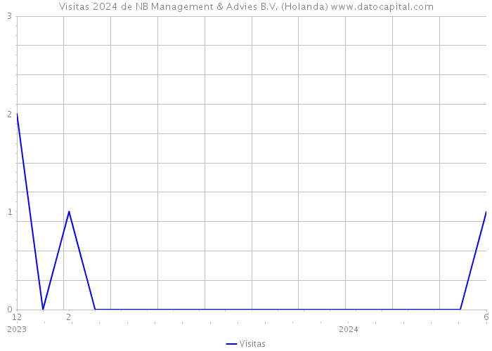 Visitas 2024 de NB Management & Advies B.V. (Holanda) 
