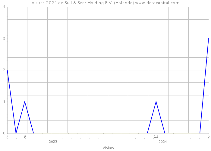 Visitas 2024 de Bull & Bear Holding B.V. (Holanda) 