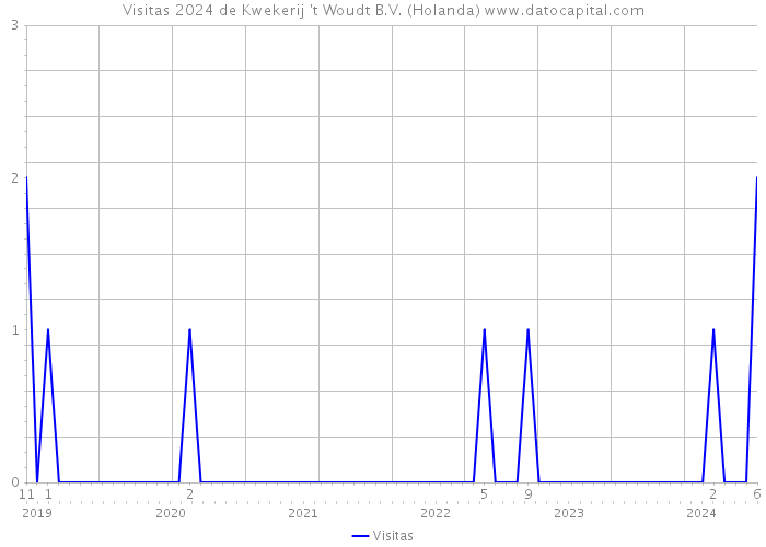 Visitas 2024 de Kwekerij 't Woudt B.V. (Holanda) 