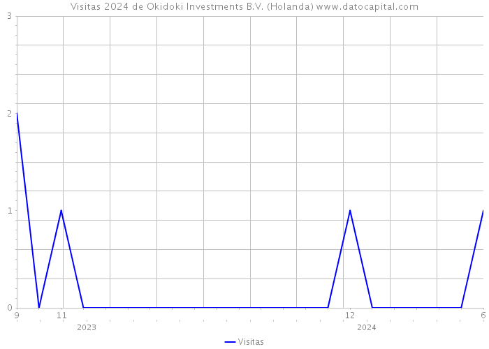 Visitas 2024 de Okidoki Investments B.V. (Holanda) 