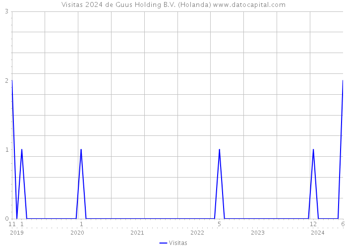 Visitas 2024 de Guus Holding B.V. (Holanda) 