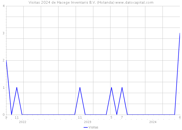 Visitas 2024 de Hacege Inventaris B.V. (Holanda) 