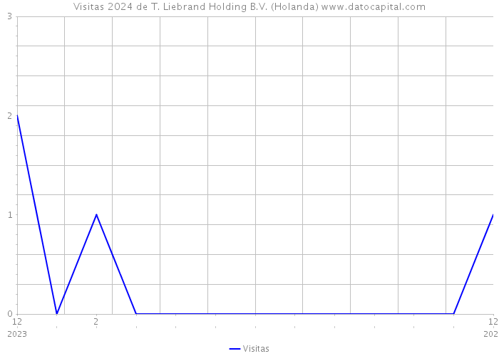 Visitas 2024 de T. Liebrand Holding B.V. (Holanda) 