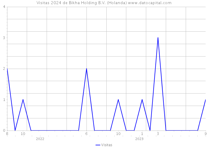 Visitas 2024 de Bikha Holding B.V. (Holanda) 