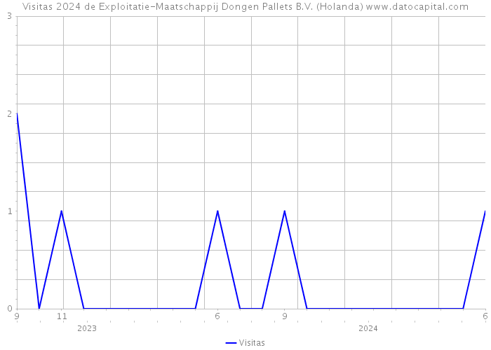 Visitas 2024 de Exploitatie-Maatschappij Dongen Pallets B.V. (Holanda) 