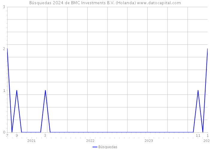 Búsquedas 2024 de BMC Investments B.V. (Holanda) 