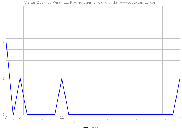Visitas 2024 de Resultaat Psychologen B.V. (Holanda) 