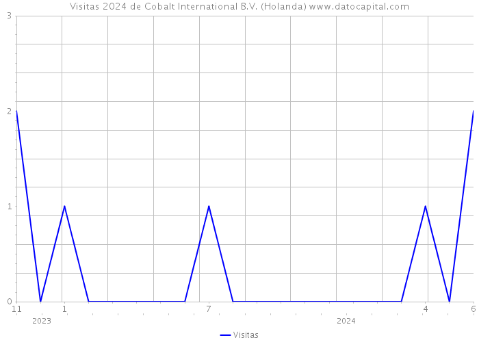 Visitas 2024 de Cobalt International B.V. (Holanda) 