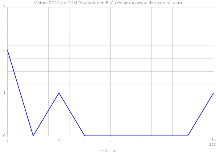 Visitas 2024 de CKM Psychologen B.V. (Holanda) 