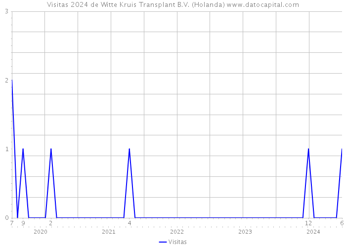 Visitas 2024 de Witte Kruis Transplant B.V. (Holanda) 