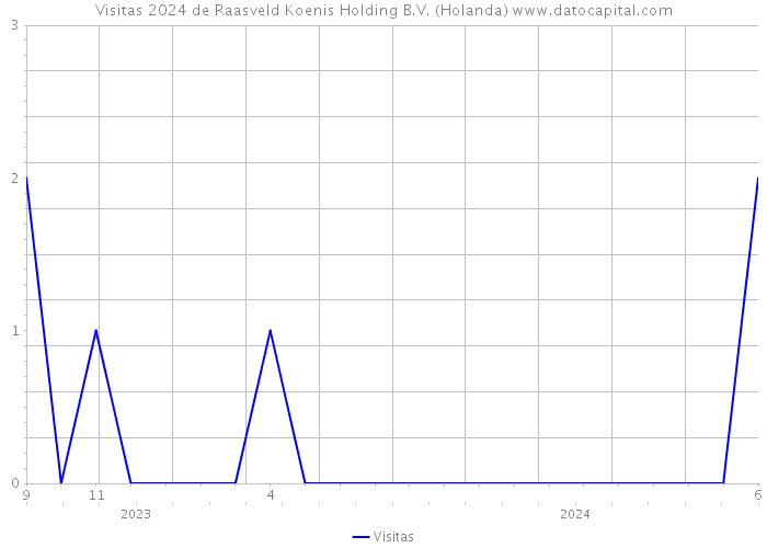 Visitas 2024 de Raasveld Koenis Holding B.V. (Holanda) 