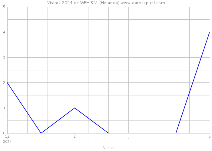 Visitas 2024 de WEH B.V. (Holanda) 