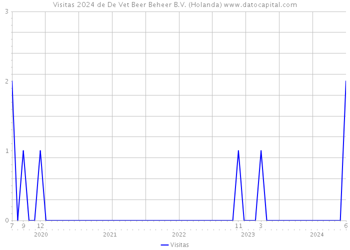 Visitas 2024 de De Vet Beer Beheer B.V. (Holanda) 