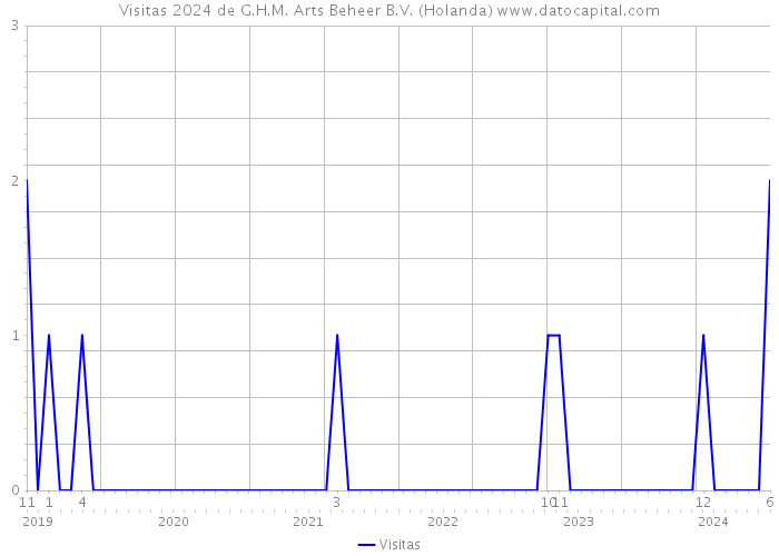 Visitas 2024 de G.H.M. Arts Beheer B.V. (Holanda) 