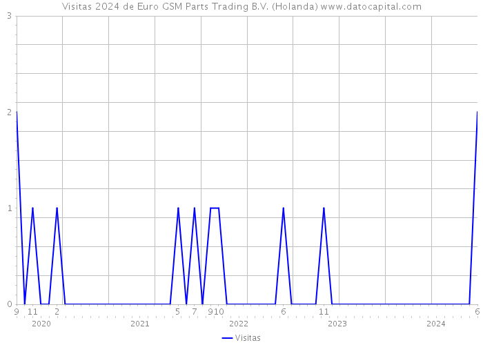 Visitas 2024 de Euro GSM Parts Trading B.V. (Holanda) 