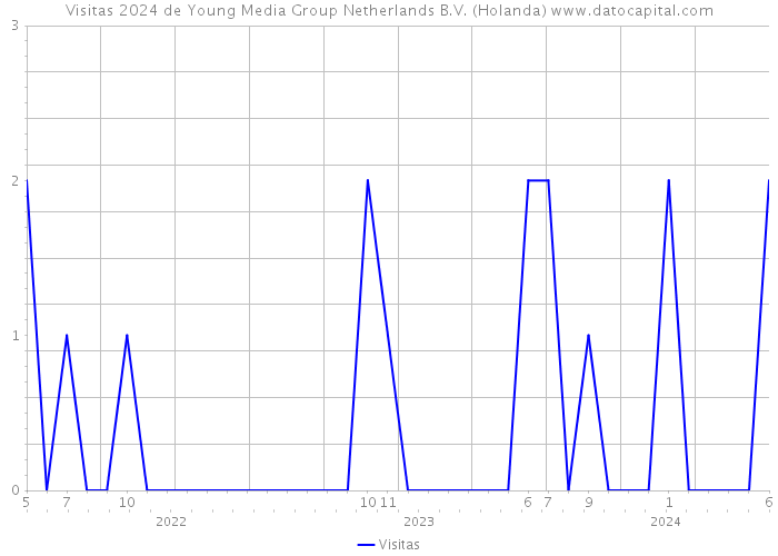 Visitas 2024 de Young Media Group Netherlands B.V. (Holanda) 