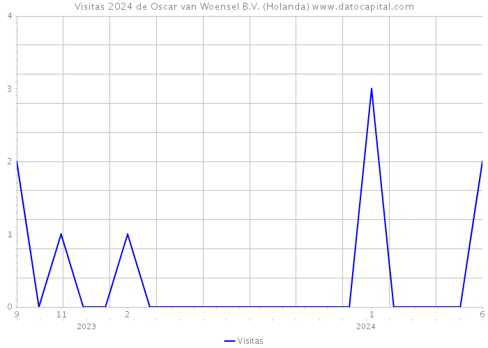 Visitas 2024 de Oscar van Woensel B.V. (Holanda) 