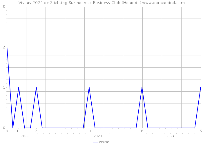 Visitas 2024 de Stichting Surinaamse Business Club (Holanda) 