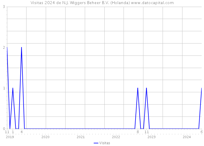 Visitas 2024 de N.J. Wiggers Beheer B.V. (Holanda) 