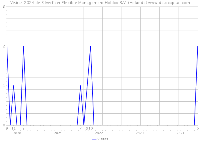 Visitas 2024 de Silverfleet Flexible Management Holdco B.V. (Holanda) 
