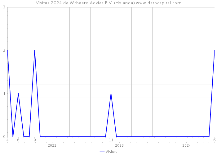 Visitas 2024 de Witbaard Advies B.V. (Holanda) 