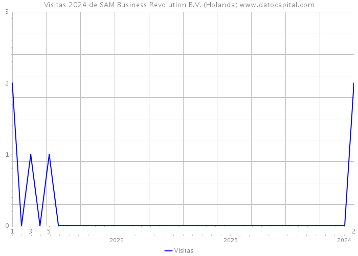 Visitas 2024 de SAM Business Revolution B.V. (Holanda) 