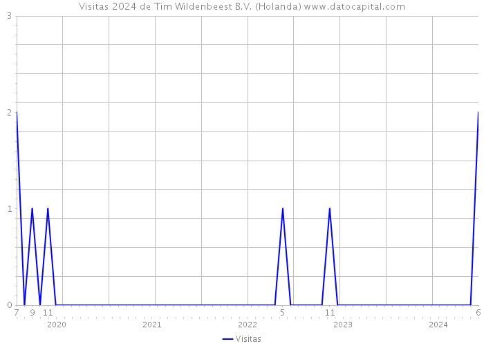 Visitas 2024 de Tim Wildenbeest B.V. (Holanda) 