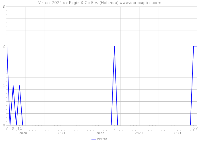 Visitas 2024 de Pagie & Co B.V. (Holanda) 