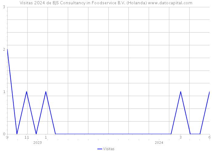 Visitas 2024 de BJS Consultancy in Foodservice B.V. (Holanda) 