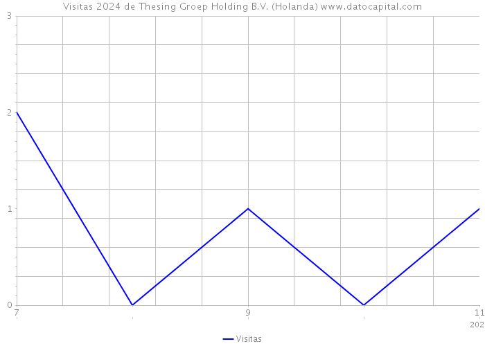 Visitas 2024 de Thesing Groep Holding B.V. (Holanda) 