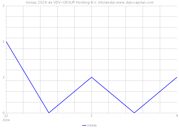 Visitas 2024 de VDV-GROUP Holding B.V. (Holanda) 
