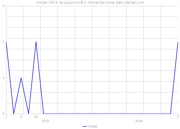 Visitas 2024 de Liquisort B.V. (Holanda) 