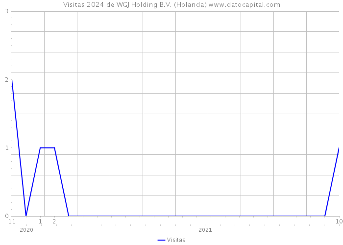 Visitas 2024 de WGJ Holding B.V. (Holanda) 