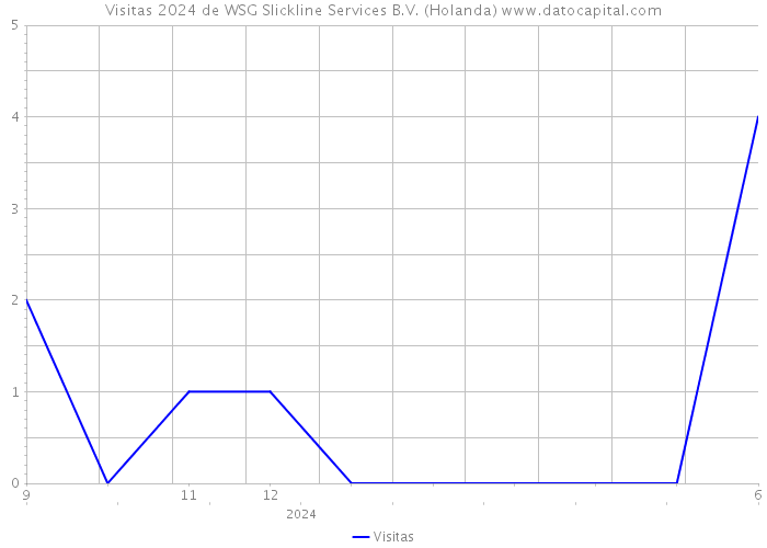 Visitas 2024 de WSG Slickline Services B.V. (Holanda) 