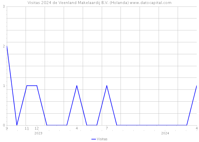Visitas 2024 de Veenland Makelaardij B.V. (Holanda) 