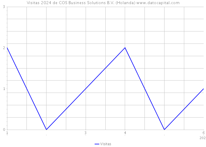 Visitas 2024 de COS Business Solutions B.V. (Holanda) 