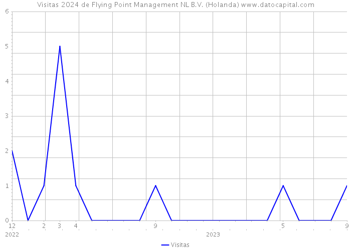 Visitas 2024 de Flying Point Management NL B.V. (Holanda) 
