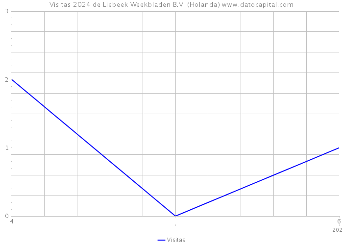 Visitas 2024 de Liebeek Weekbladen B.V. (Holanda) 