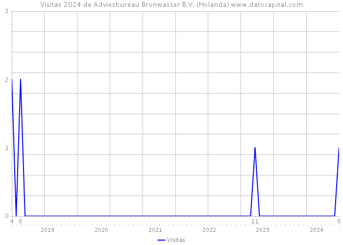 Visitas 2024 de Adviesbureau Bronwasser B.V. (Holanda) 