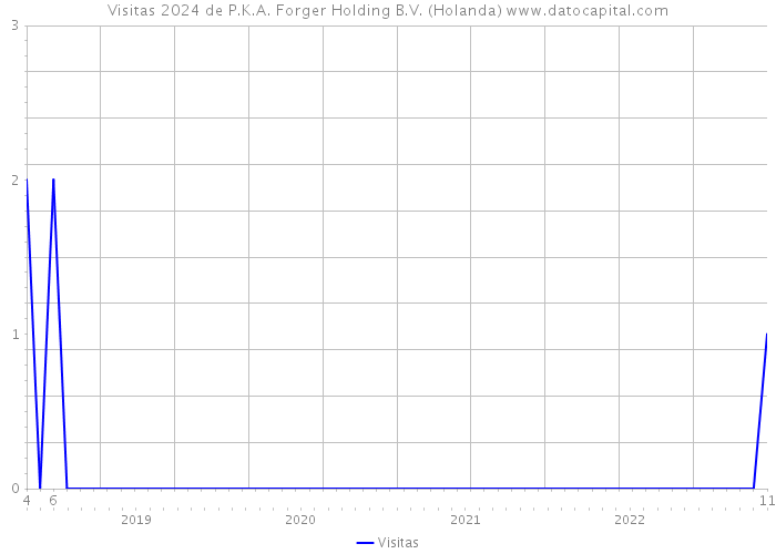 Visitas 2024 de P.K.A. Forger Holding B.V. (Holanda) 