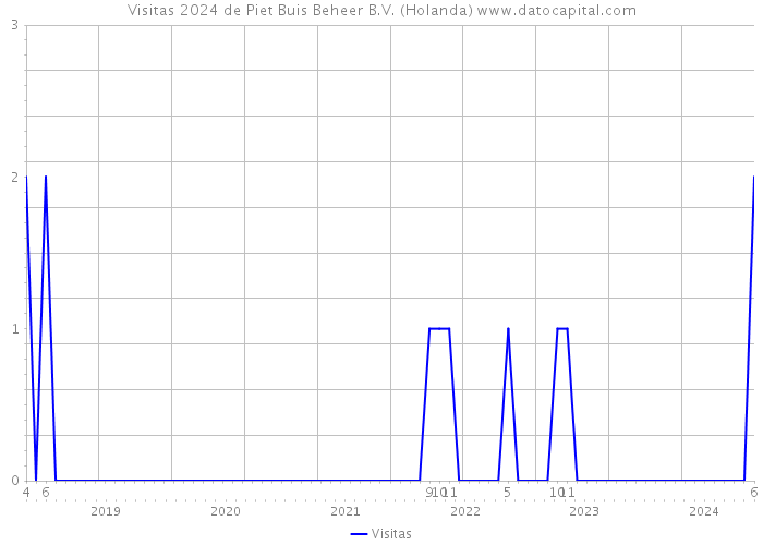 Visitas 2024 de Piet Buis Beheer B.V. (Holanda) 