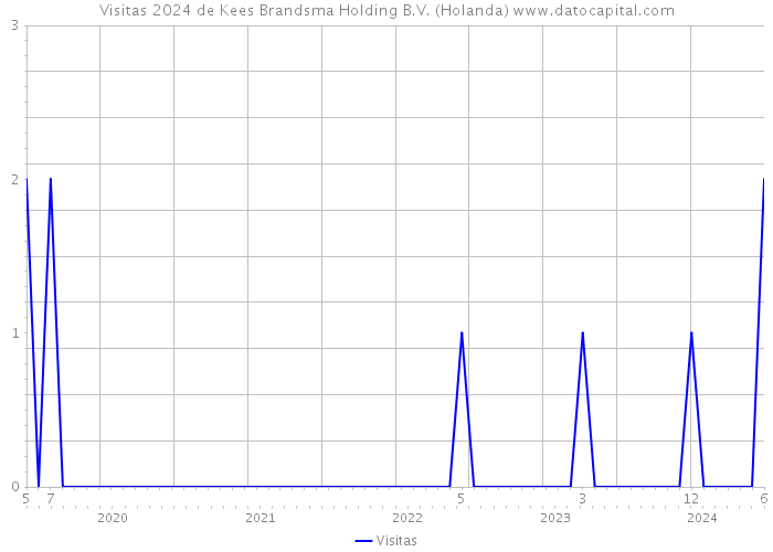 Visitas 2024 de Kees Brandsma Holding B.V. (Holanda) 