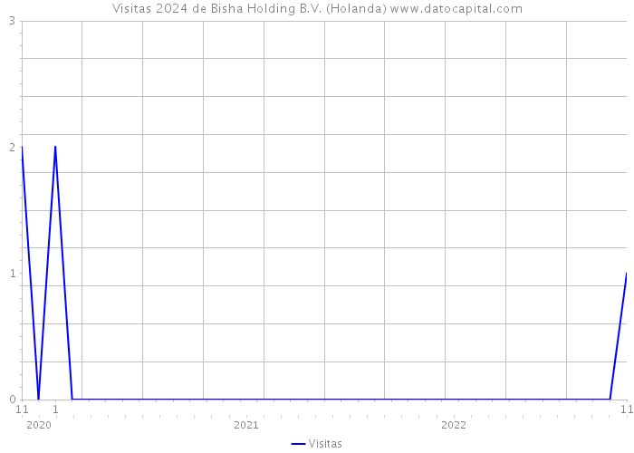 Visitas 2024 de Bisha Holding B.V. (Holanda) 