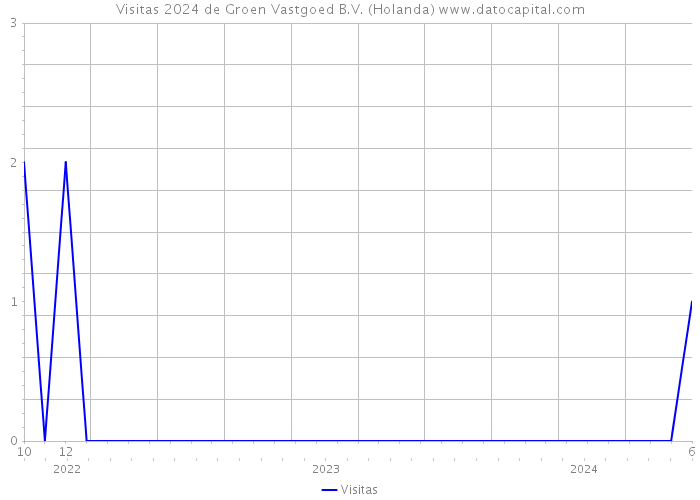 Visitas 2024 de Groen Vastgoed B.V. (Holanda) 