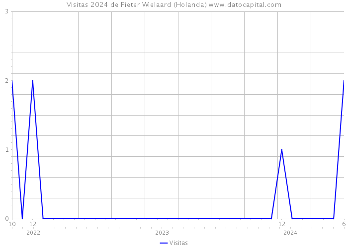 Visitas 2024 de Pieter Wielaard (Holanda) 