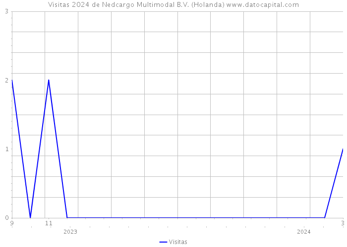 Visitas 2024 de Nedcargo Multimodal B.V. (Holanda) 