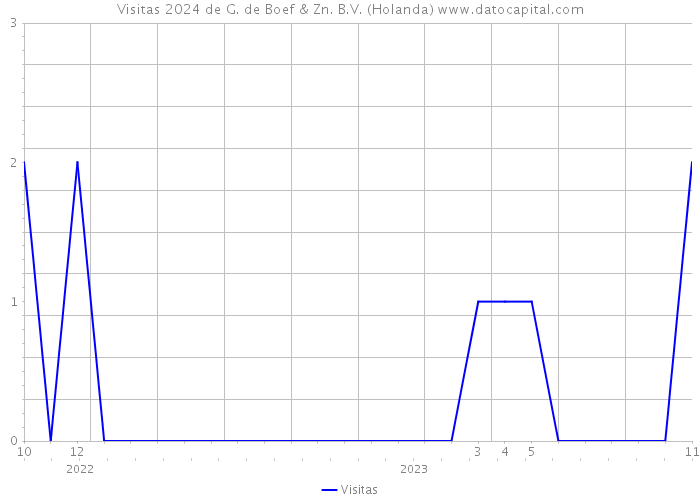 Visitas 2024 de G. de Boef & Zn. B.V. (Holanda) 